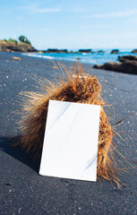 White blank paper lies on a coconut near the sea