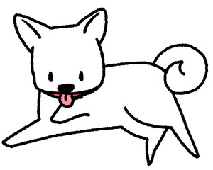 アレルギーもちの犬