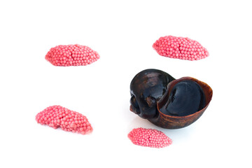 Pomacea canaliculata eggs (Golden apple snail, Channeled apple snail) on white background.