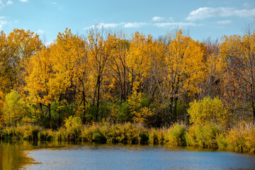 Autumn colors in the park 