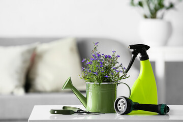 Gardening tools on table indoors