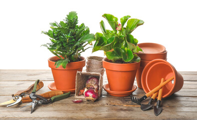 Gardening tools and pots with plants on white background