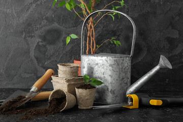 Gardening tools and plants on dark background