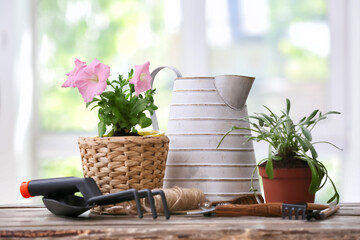 Gardening tools and flower in wicker pot on blurred background