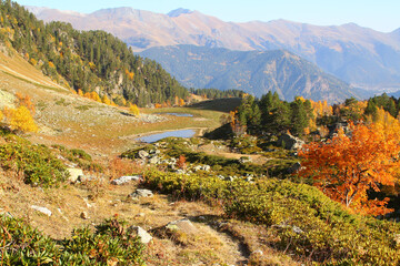 Fototapeta na wymiar Autumn in mountains