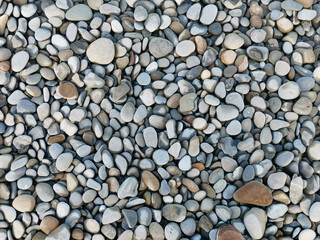  gray pebbles on the beach.