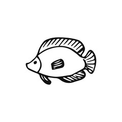 Hand drawn fish vector illustration on white background. Sea or ocean underwater life