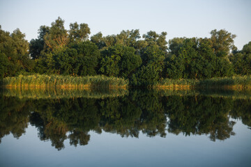 Fototapeta na wymiar reflection of trees in water. River
