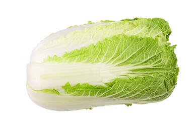 fresh chinese cabbage on a white background