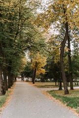 Obraz premium Alley in the autumn Park with a path made of paving stones