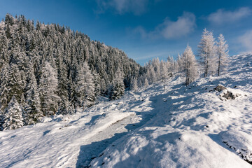 Berge bei Sonne und blauem Himmel im Schnee mit B&auml;umen und Wolken mit Spuren und Schatten