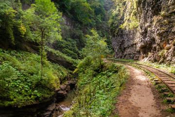 Old narrow gauge railway in mountain region.
