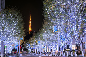 Illuminated Roppongi Keyakizaka Street and Tokyo Tower during...