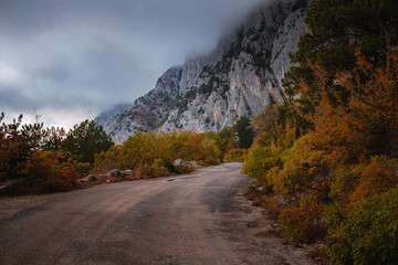 Landscape with beautiful empty mountain road , high rocks, trees and cloudy sky.