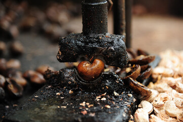 Fototapeta premium Peeling cashew nuts shell, selective focus