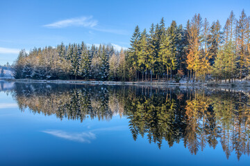 Beautiful Reflections of spruce tree covered by snow in Lake blue water, Czech Republic, Vysocina Europe nature