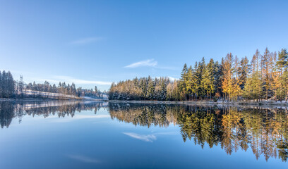 Beautiful Reflections of spruce tree covered by snow in Lake blue water, Czech Republic, Vysocina Europe nature