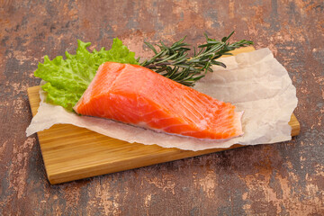 Piece of raw salmon
