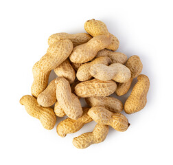 Peanut on a white