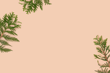 Frame made of coniferous branches on a beige background. Nature concept with place for text.