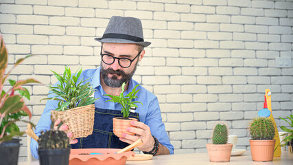 Relax hobbies lifestyle of Caucasian male  wearing apron planting in the room at home.