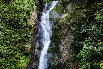 tropical waterfall with lush green foliage