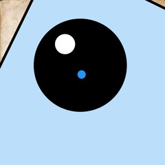 iPhone graphical camera.