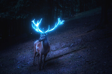 Ein Hirsch mit blau leuchtendem Geweih steht im dunklen Wald