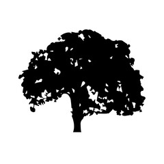 Tree silhouette on white background.