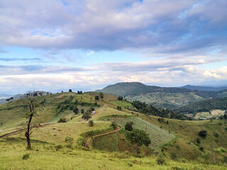 Fototapeta premium Grass field on the mountain.