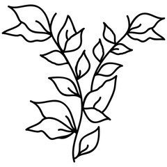 Botanical Flower Plant 