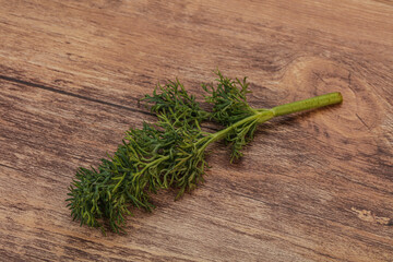 Aroma seasoning - Green Dill branch