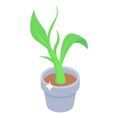 Fototapeta na wymiar Isometric icon of potted plant, indoor home decor 