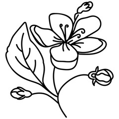 Decorative Element Vector 