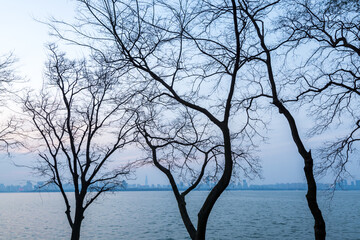 Tree in the winter, lake and twilight at the Donghu (East Lake) of  Wuhan City of China.