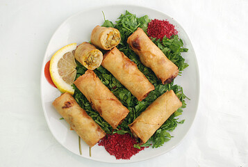 meat spring rool