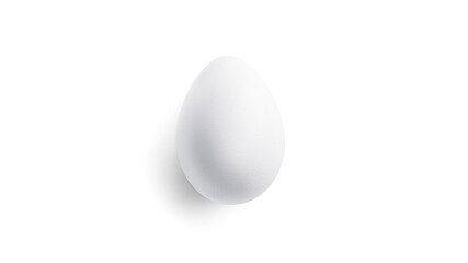 White chicken egg on a white background. High quality photo