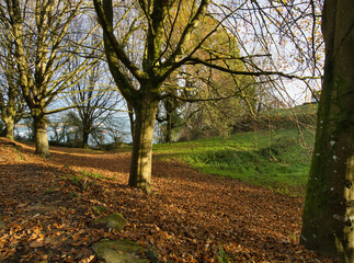 Lever de soleil sur la campagne en automne