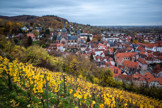 view of heppenheim bergstrasse, vineyards