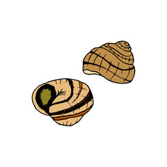 Vector hand drawn escargot. French cuisine dish of snails. Design sketch element for menu cafe, bistro, restaurant, label and packaging. Colorful illustration on a white background.