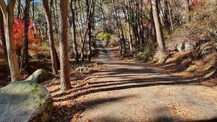 한국의 어느 산자락 불교 사찰 입구 풍경