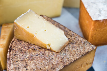 Hand made organic cheese on sale at an artisan market
