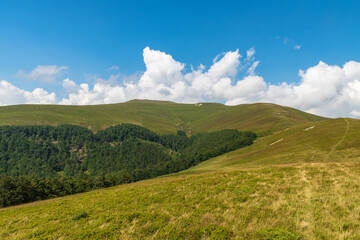 Fototapeta premium Valcan mountains with Coarnele hill, meadows, forest and smaller rocks in Romania