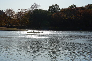 池とボート