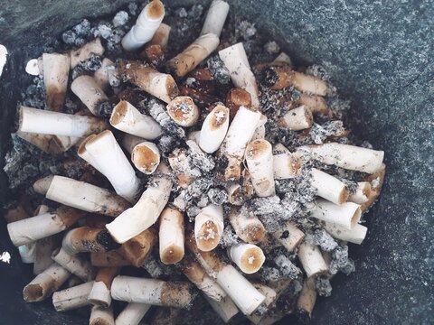 High Angle View Of Cigarette Butts