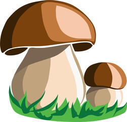 Vector image of two mushrooms in the grass isolated on the white background.