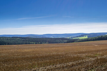 Fototapeta premium a harvested field in autumn