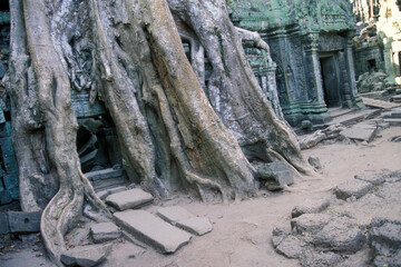 CAMBODIA SIEM REAP ANGKOR TA PROHM TEMPLE