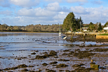 Low tide at the quayside, Devoran, Cornwall, England, UK.