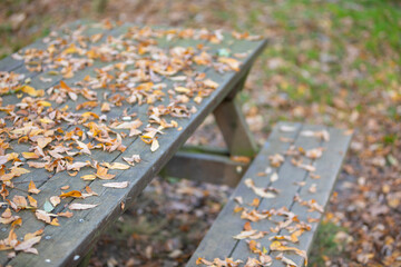 Fototapeta na wymiar Mesa de pícnic de madera cubierta de hojas en otoño
